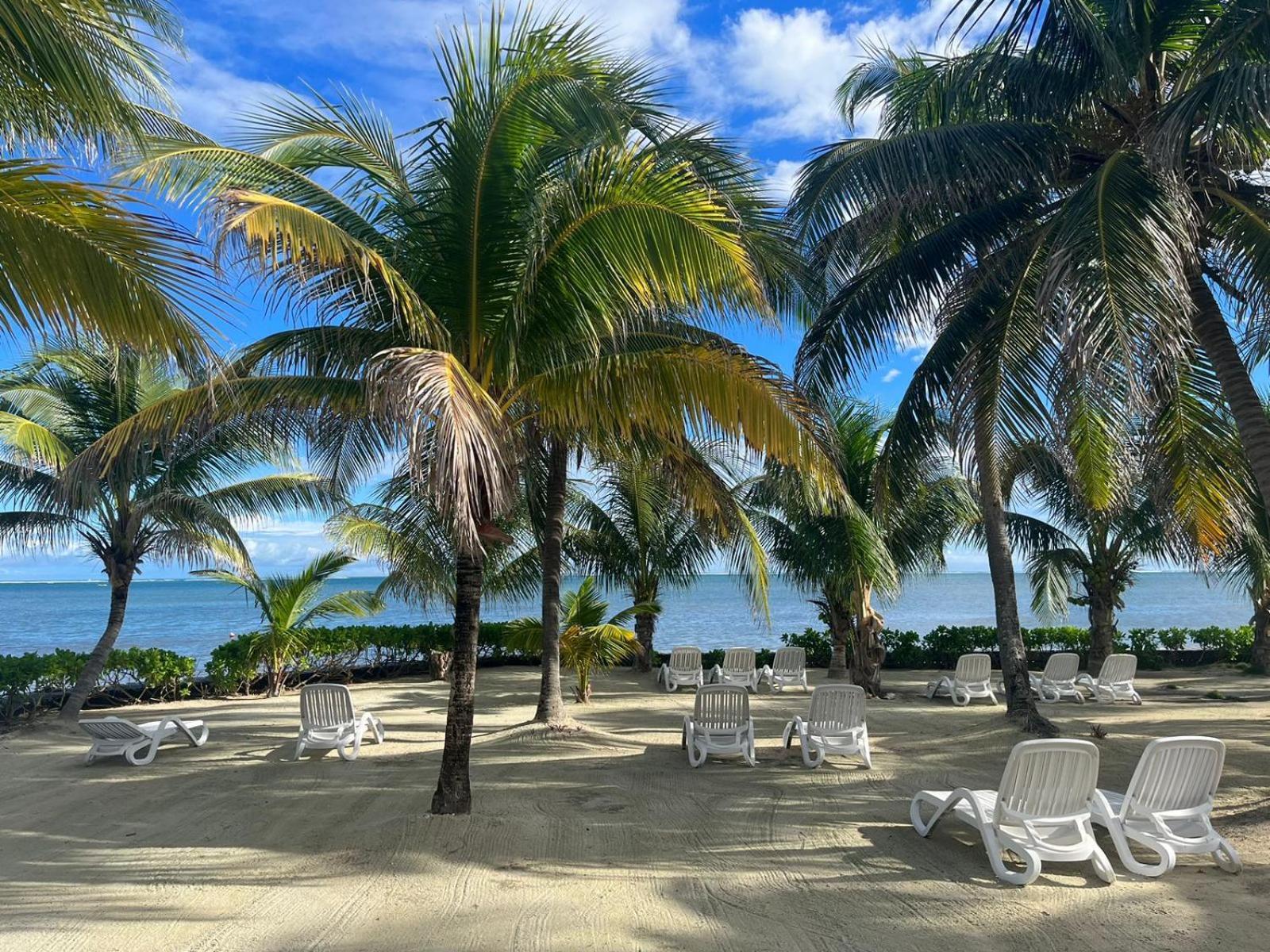 Captain Morgan'S Retreat 산페드로 외부 사진