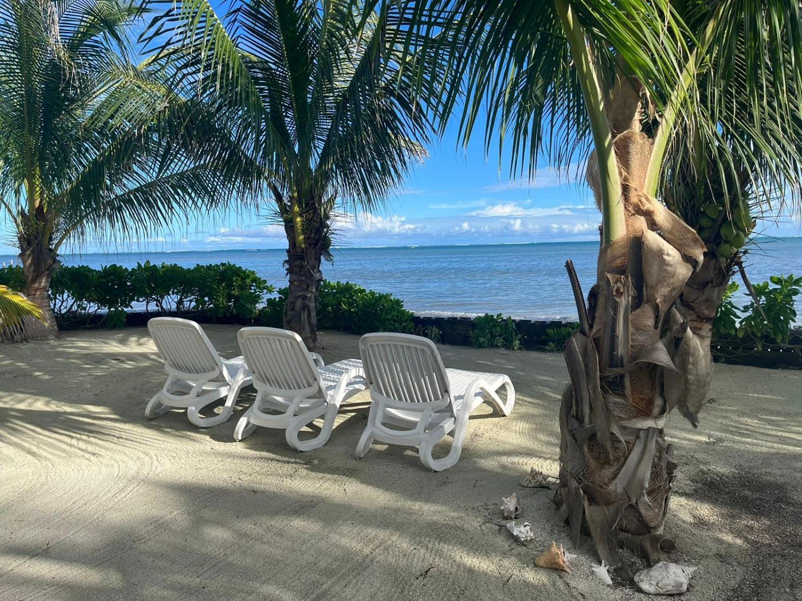 Captain Morgan'S Retreat 산페드로 외부 사진