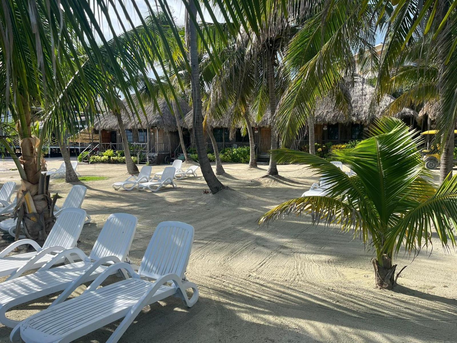Captain Morgan'S Retreat 산페드로 외부 사진